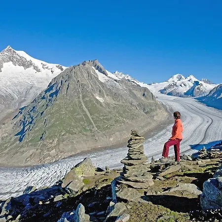 Alpenhaus アパート *