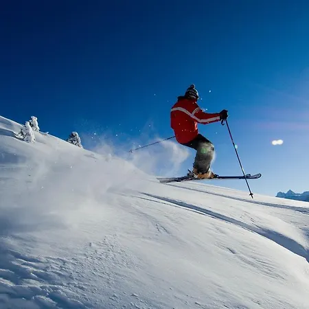 阿尔盆豪斯贝特默拉尔普酒店 公寓 贝特默阿尔卑