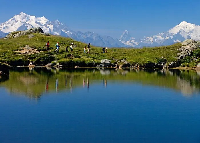 Alpenhaus Daire Bettmeralp