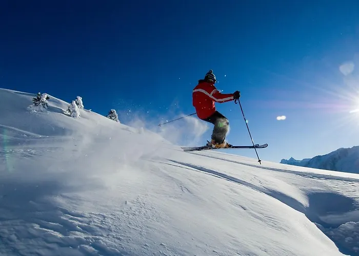 Alpenhaus Daire Bettmeralp